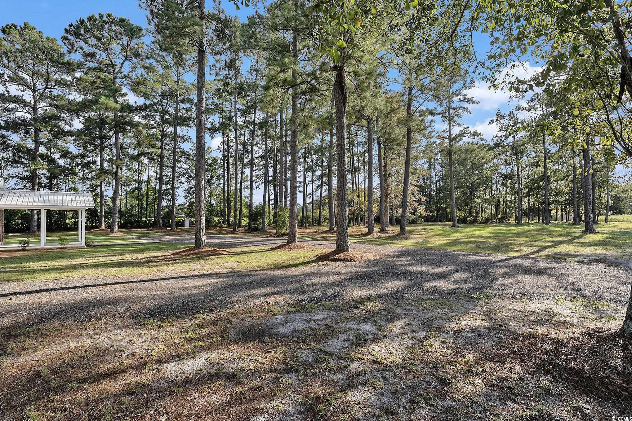 494 Ray Road Hemingway, SC 29554 - Photo 4 of 26 View of yard