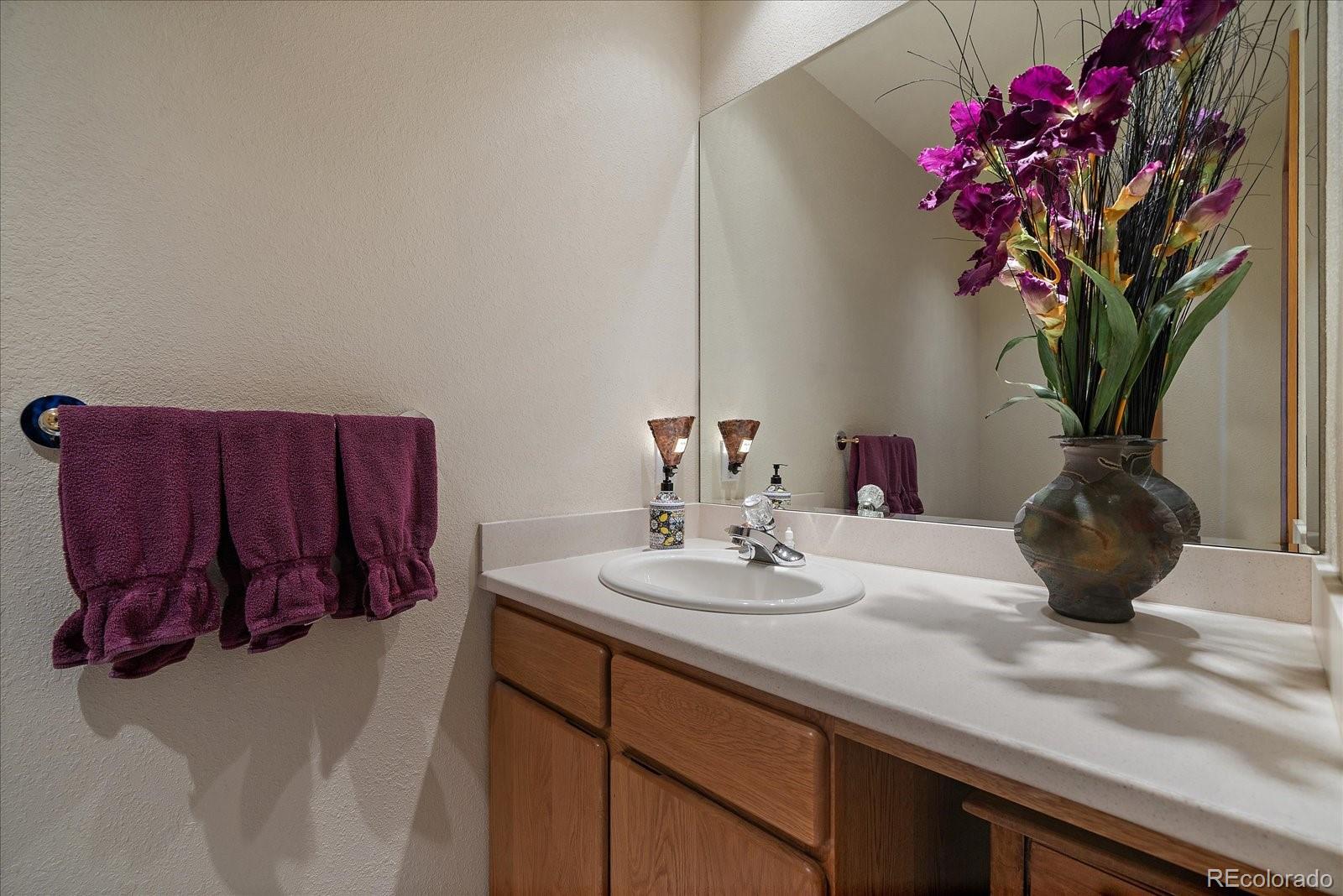 19791 Maxwell Drive Morrison, CO 80465 - Photo 21 of 50 a view of a flower pot on a counter