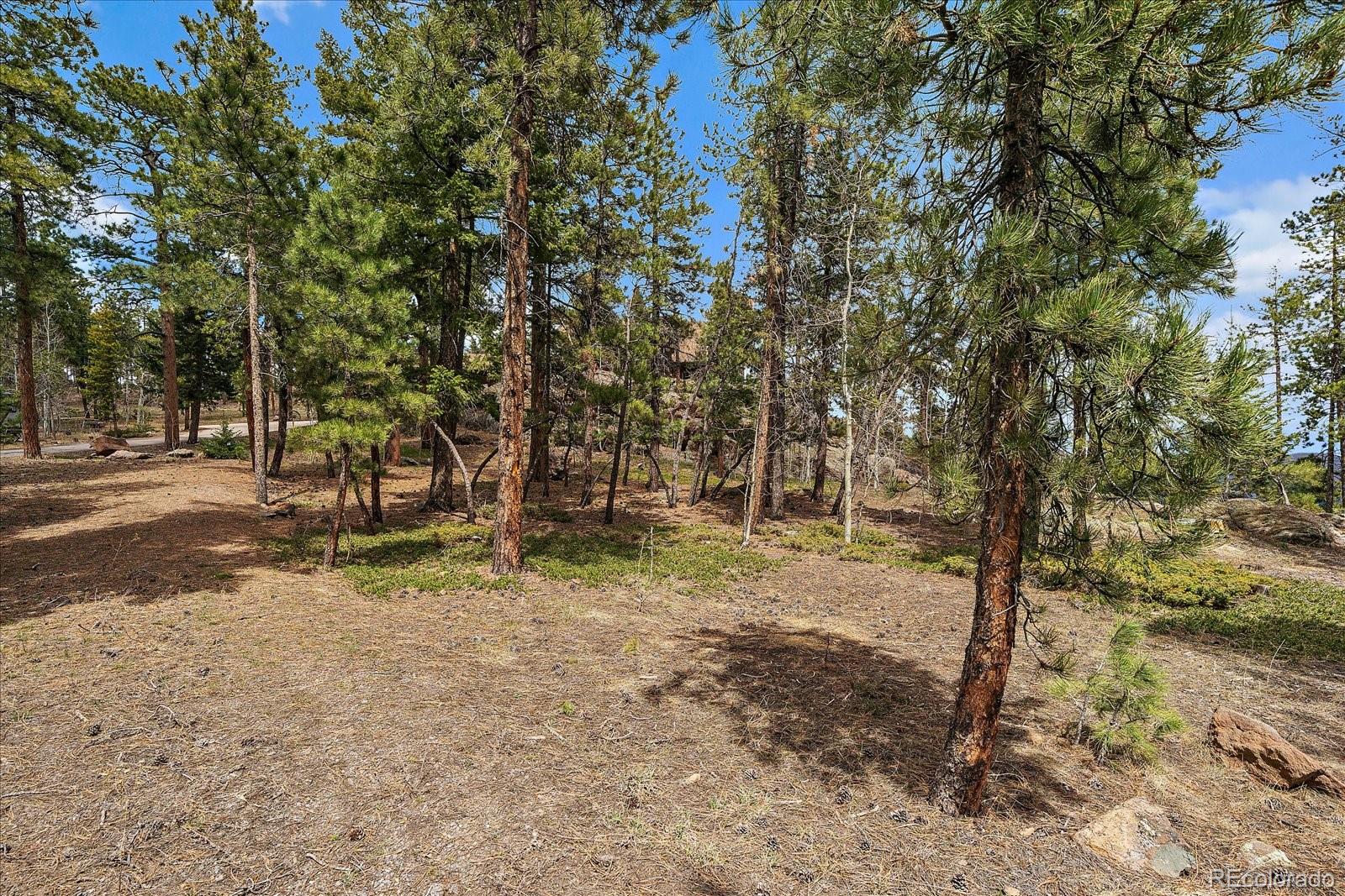 19791 Maxwell Drive Morrison, CO 80465 - Photo 46 of 50 a view of outdoor space with trees