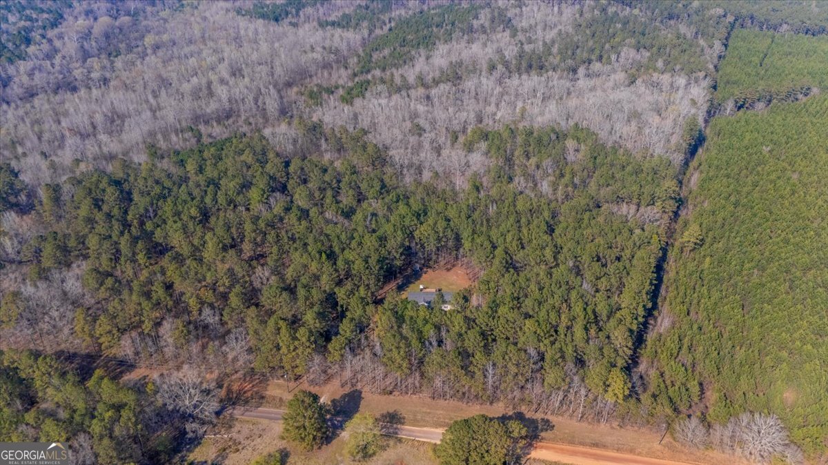 550 Damascus Church Road Haddock, GA 31033 - Photo 34 of 34 a view of a yard