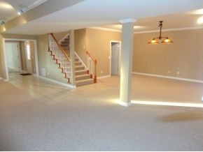 1012 Lake Ridge Square Johnson City, TN 37601 - Photo 13 of 20 awesome basement