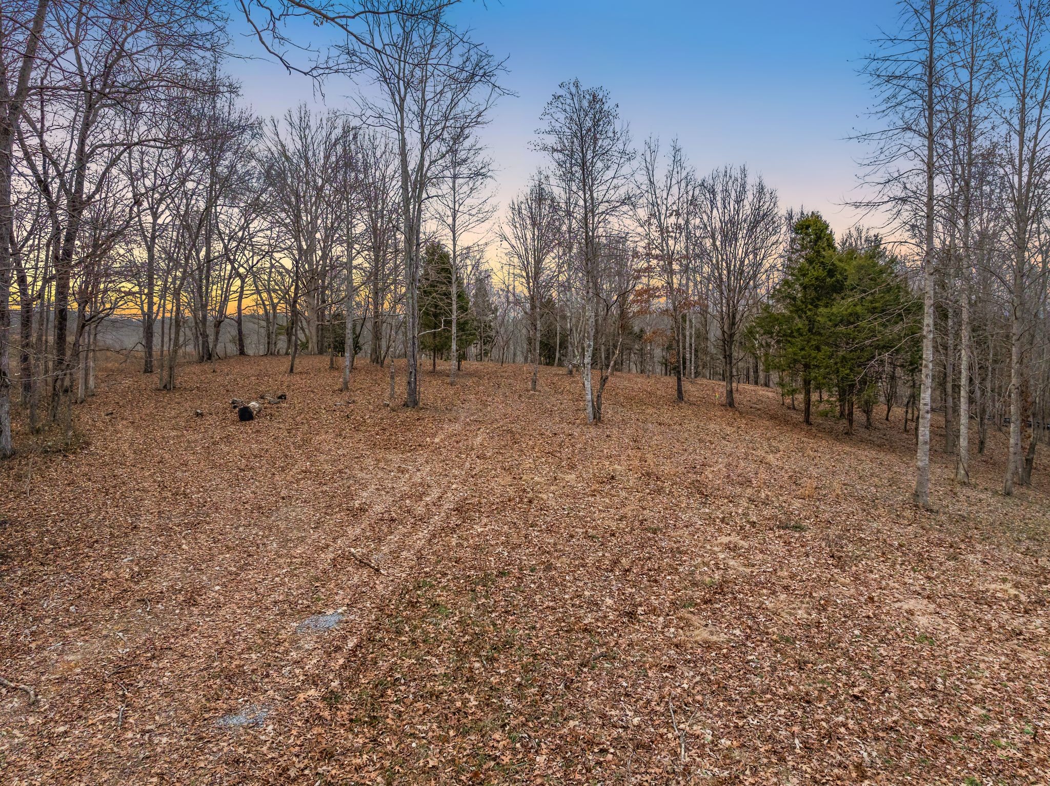 6009 Garrison Road Franklin, TN 37064 - Photo 8 of 12