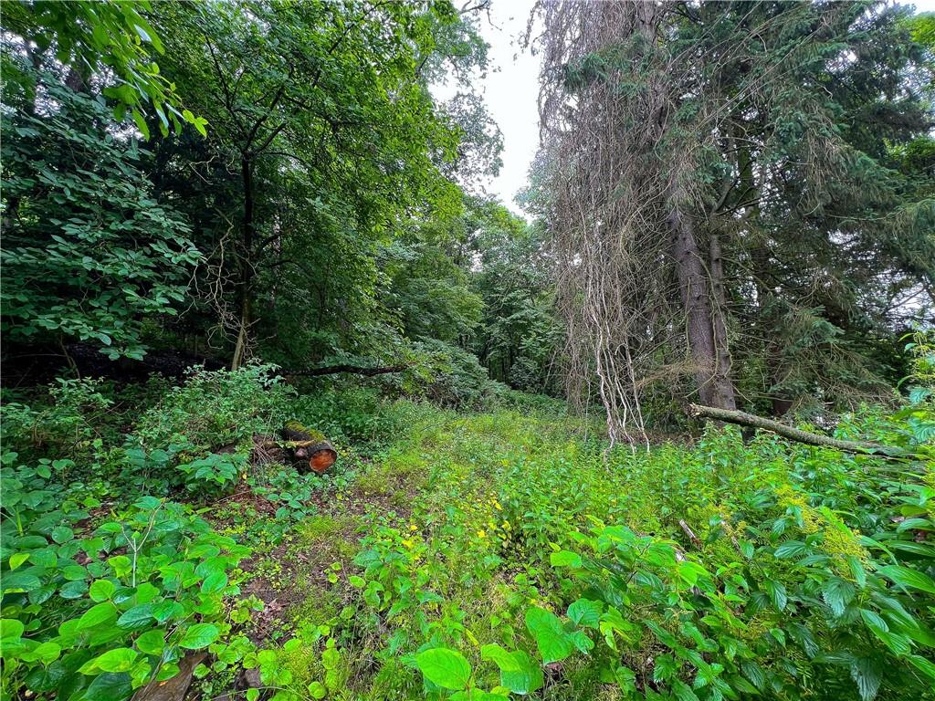 a view of backyard with green space