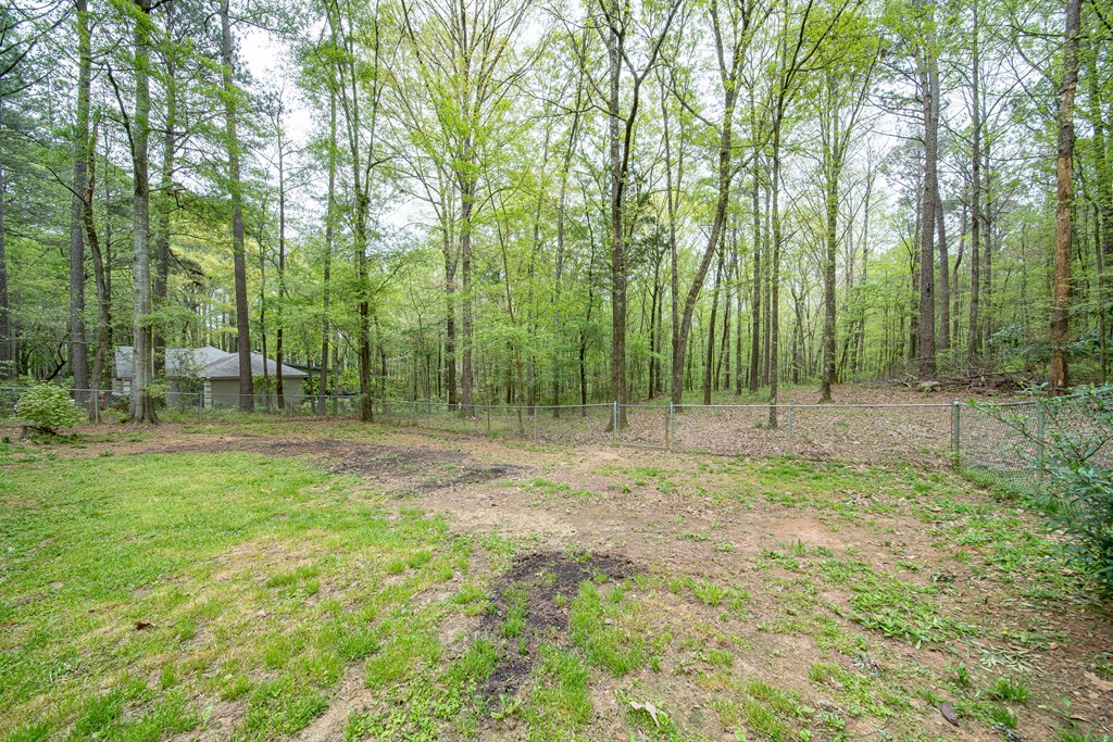 679 Grant Road Cataula, GA 31804 - Photo 29 of 38 Gallery Image 29