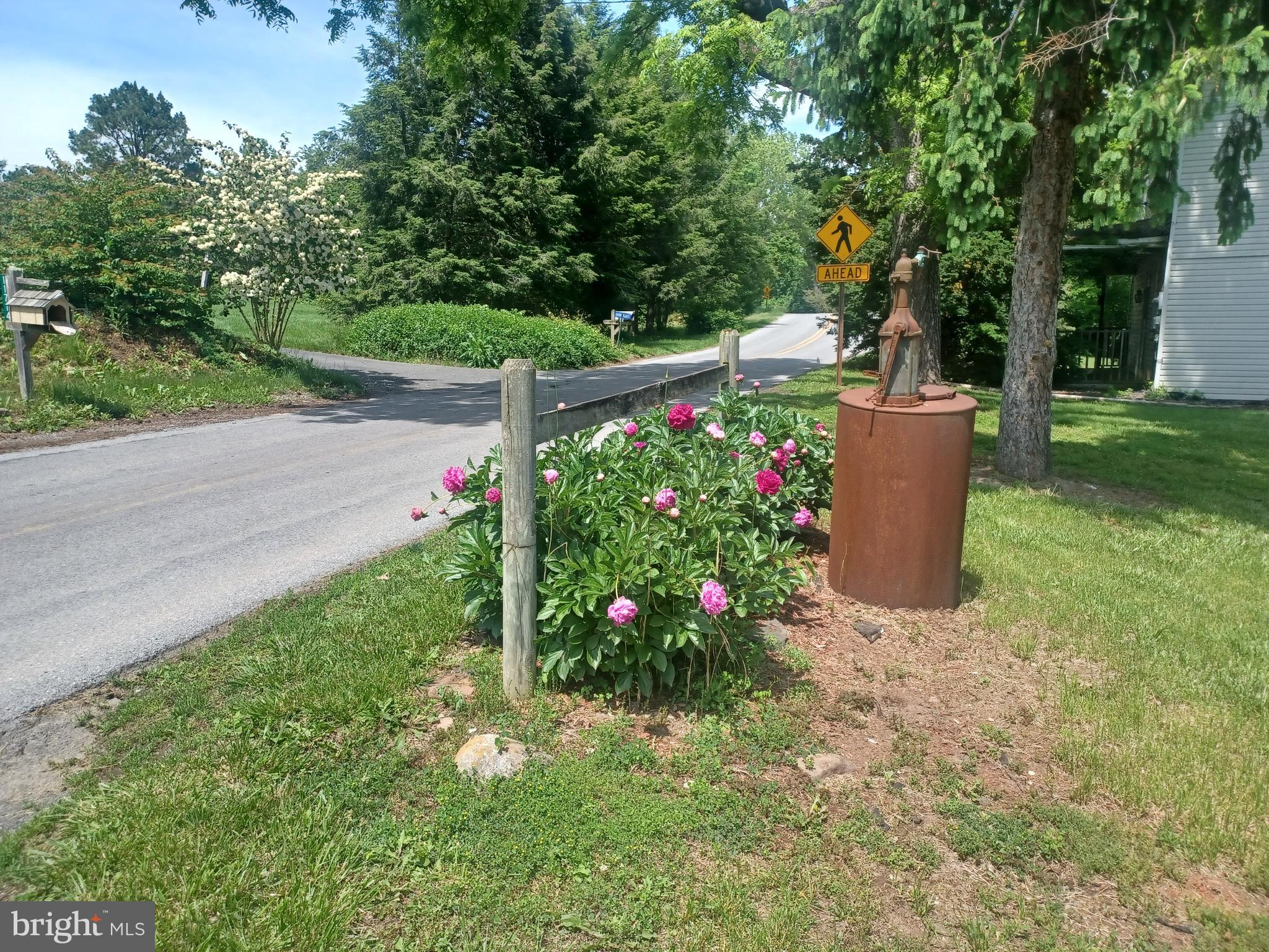 11713 Ernstville Road Big Pool, MD 21711 - Photo 27 of 47 a view of a garden with flower plants and large trees