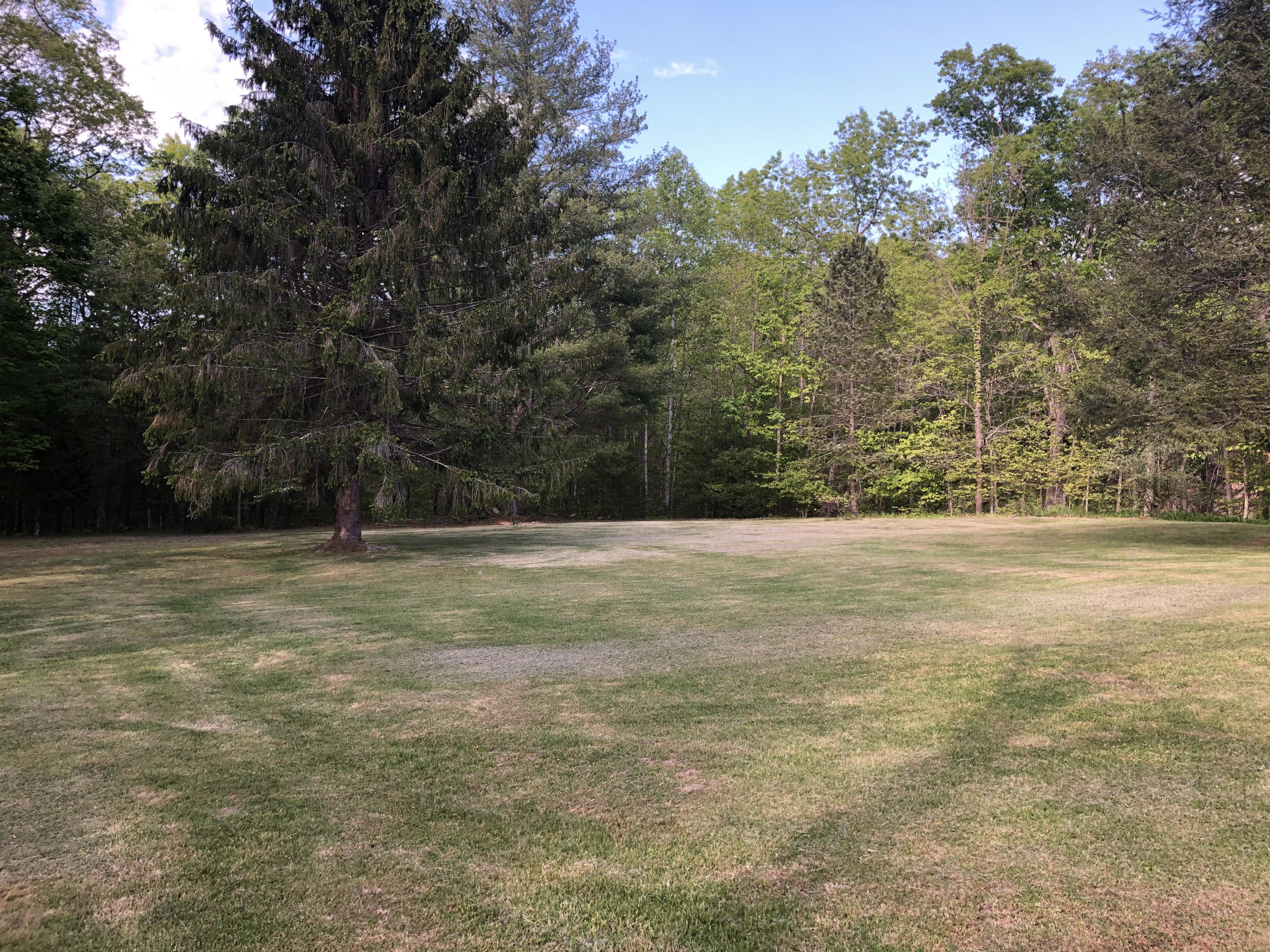 8010 Mill Branch Road Covington, VA 24426 - Photo 36 of 36 lower yard view