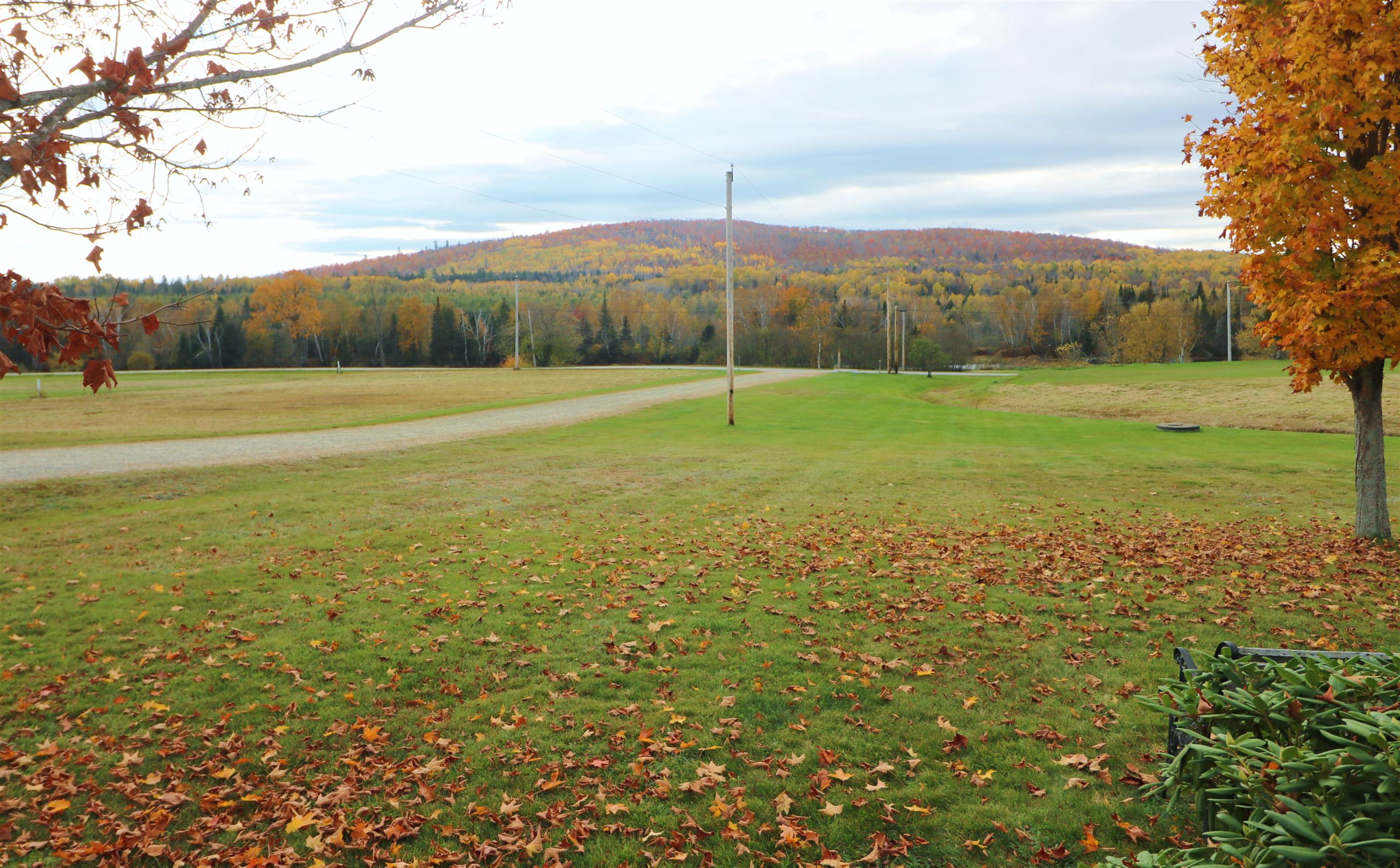1410 East Of River Road Dummer, NH 03588 - Photo 5 of 24