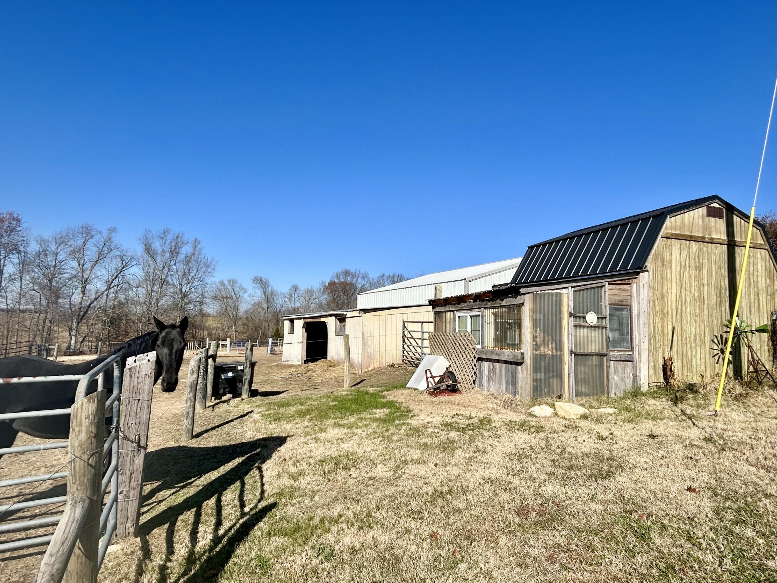 575 Piney Woods Road Nancy, KY 42544 - Photo 5 of 50 844645CC-E264-4EEE-A95F-6D93C20C99C5