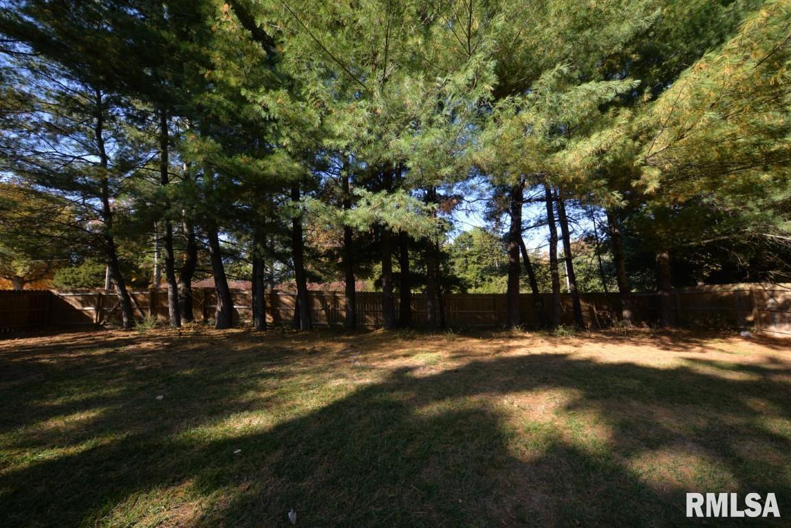 501 Cardinal Drive Mount Vernon, IL 62864 - Photo 11 of 57 a view of road with trees