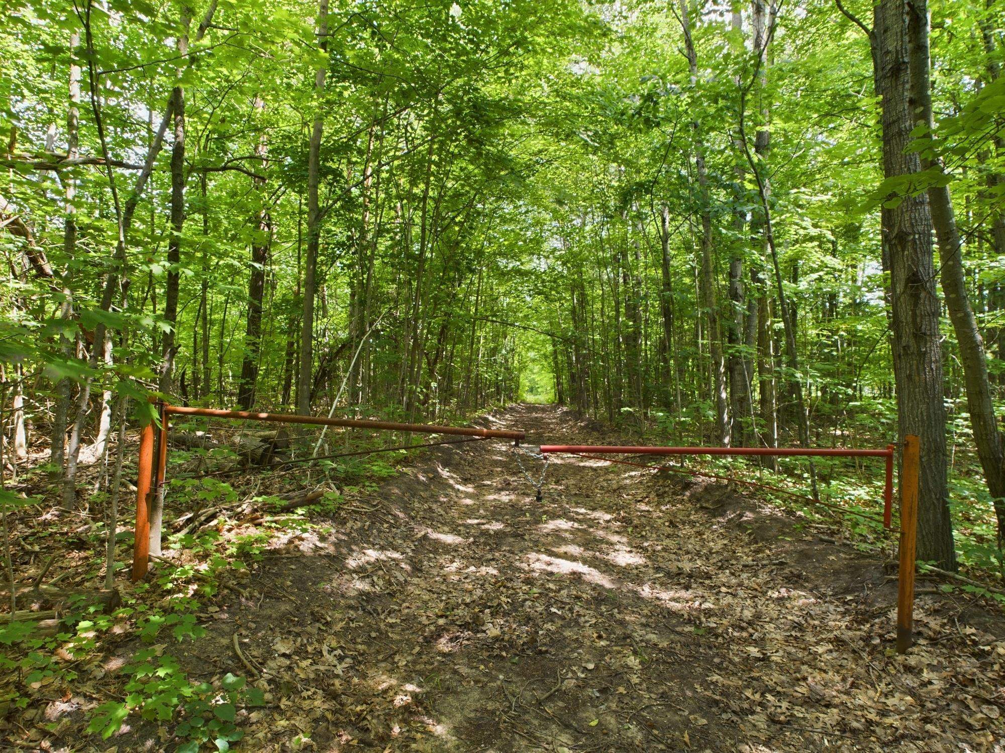 0 North Reynolds Road Interlochen, MI 49643 - Photo 19 of 22