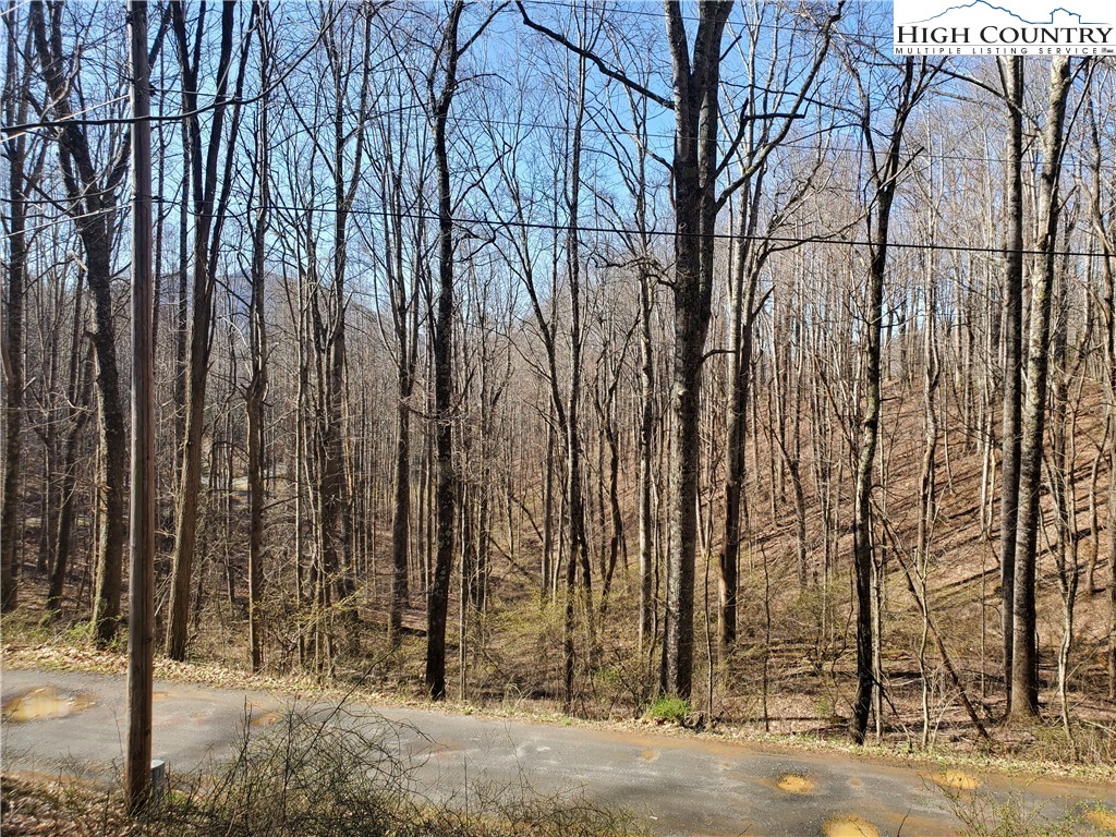 Mountain Shadows Road Jefferson, NC 28640 - Photo 1 of 6 Gallery Image 1
