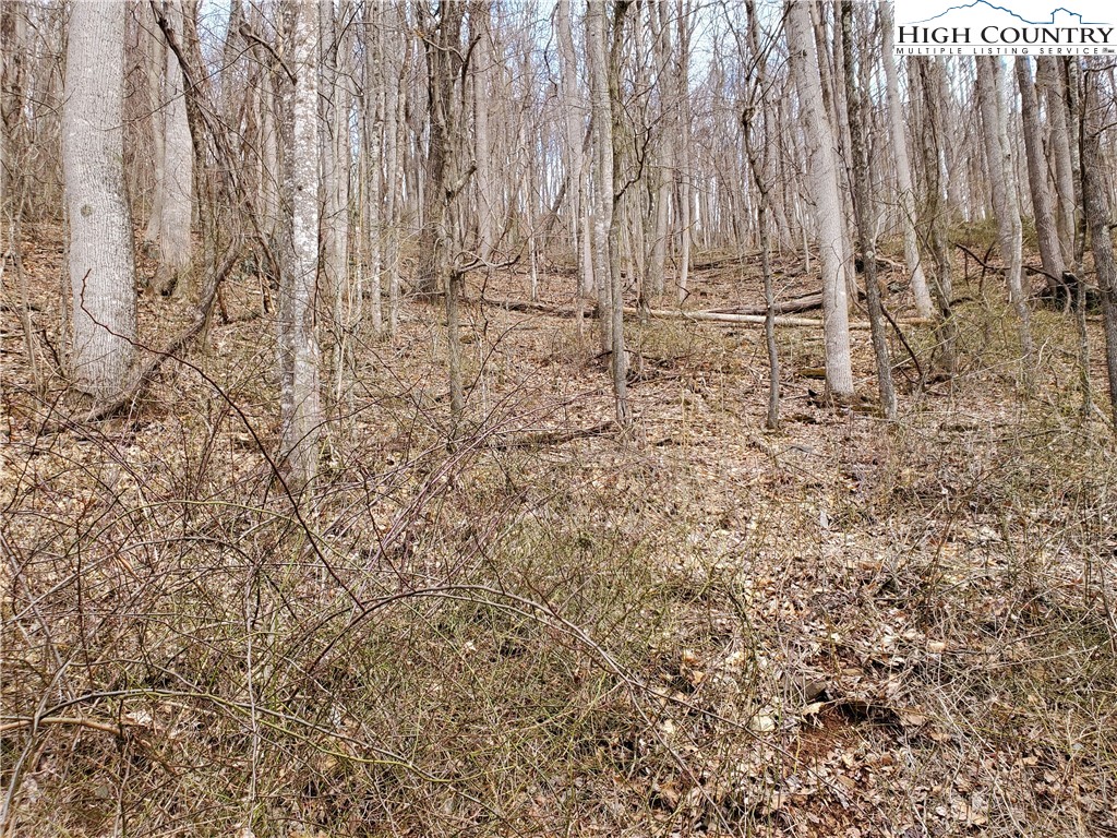 Mountain Shadows Road Jefferson, NC 28640 - Photo 2 of 6 Gallery Image 2