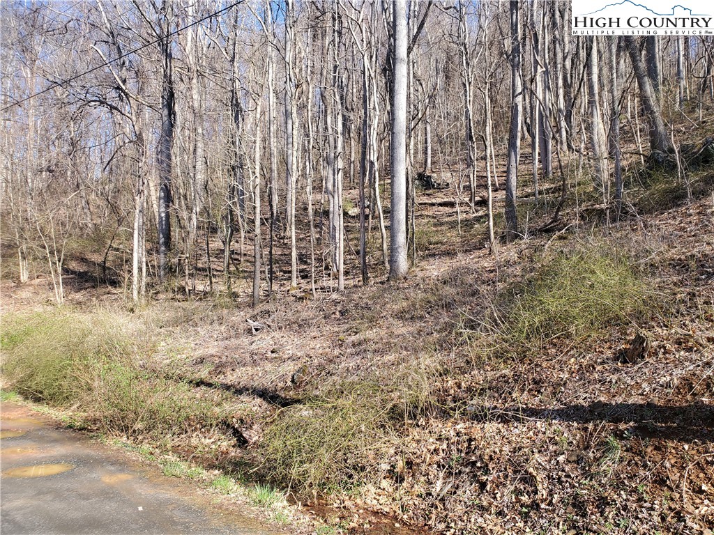 Mountain Shadows Road Jefferson, NC 28640 - Photo 4 of 6 Gallery Image 4
