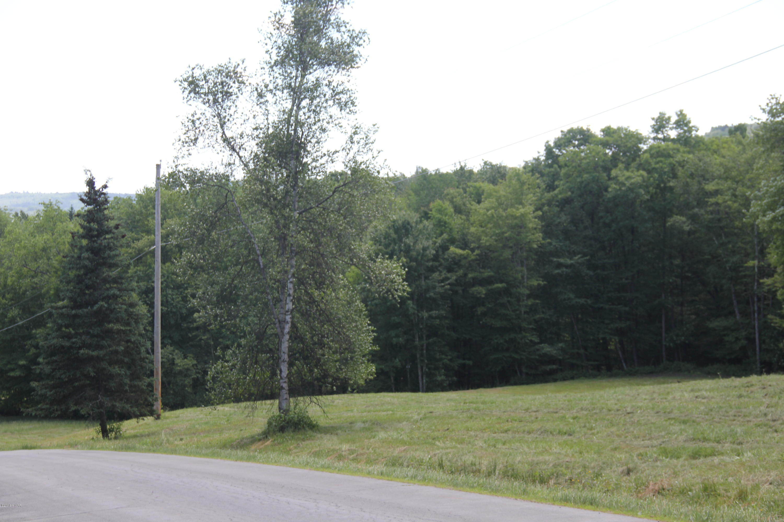 Old Danzer Road Livingston Manor, NY 12758 - Photo 3 of 4
