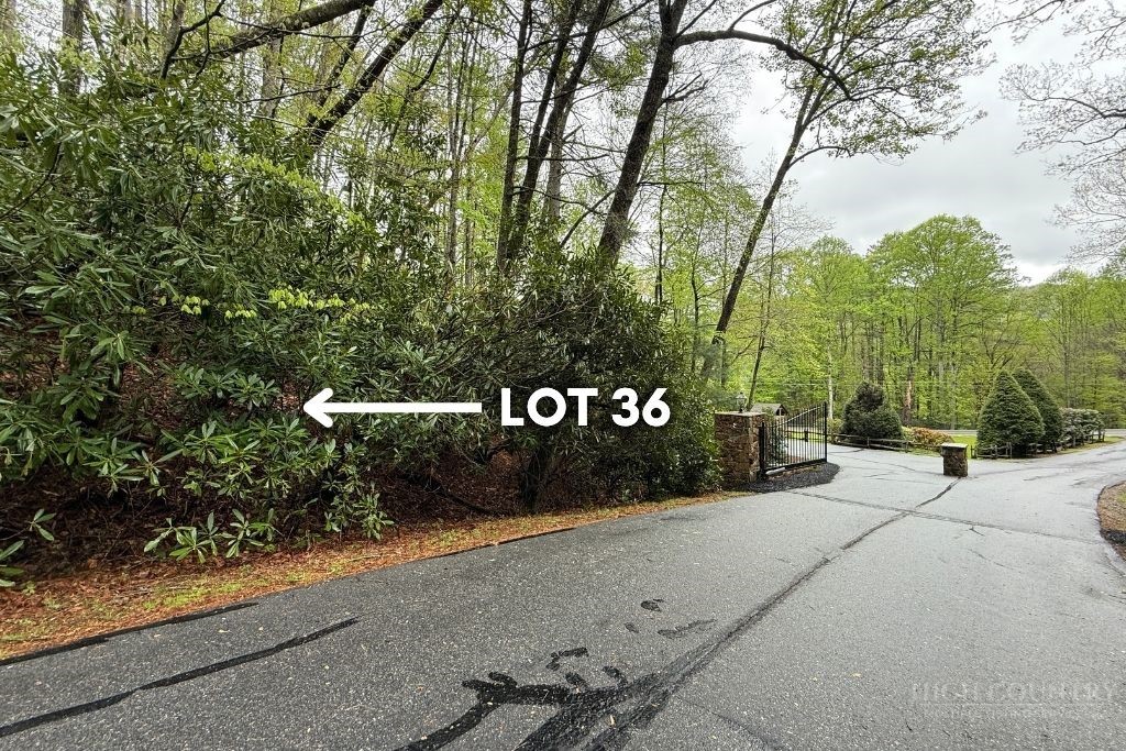 Lot 36 Daisy Ridge Road Banner Elk, NC 28604 - Photo 7 of 34 Gallery Image 7
