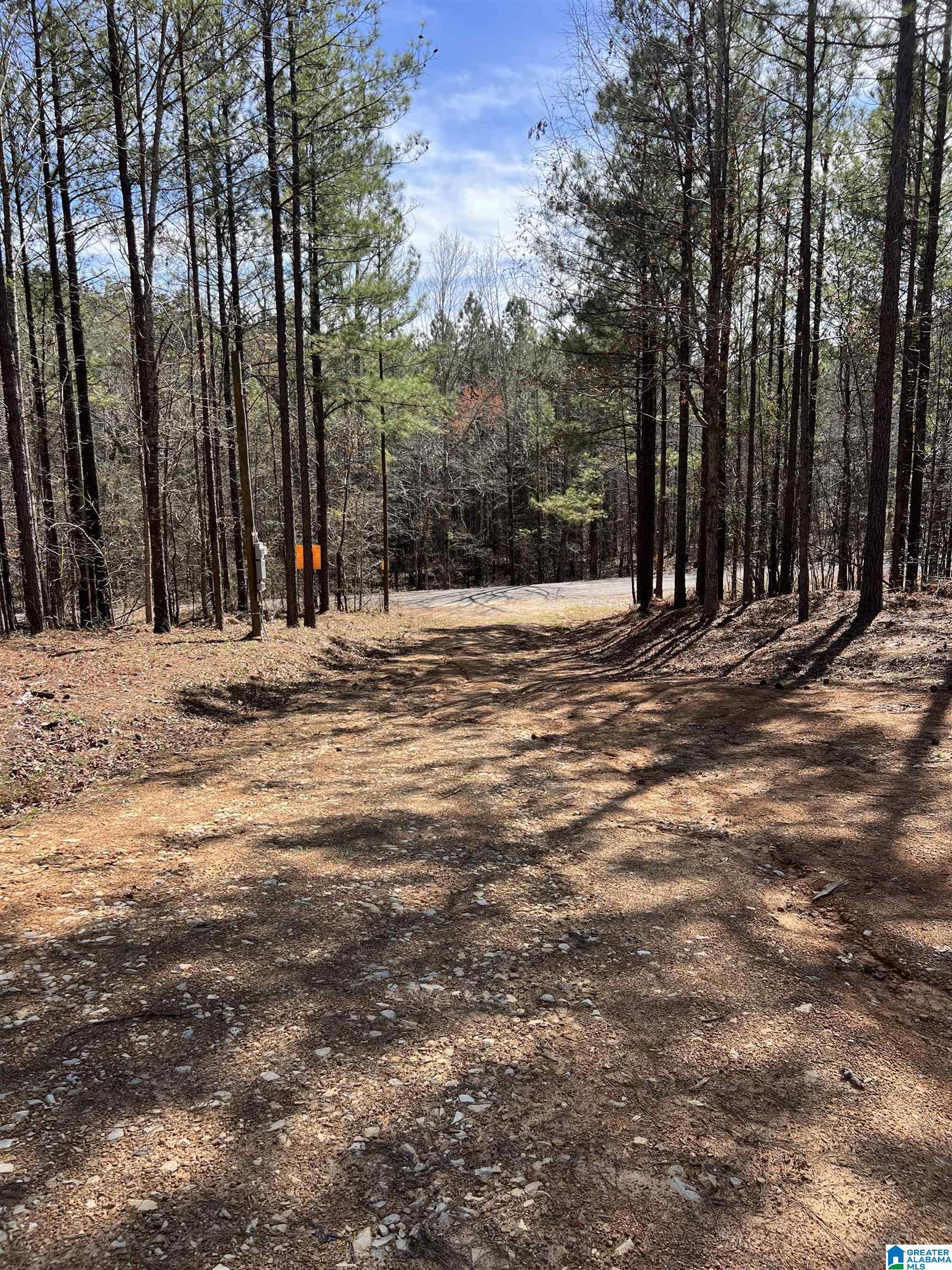 780 Sweet Apple Road, Unit 1 Pell City, AL 35128 - Photo 3 of 9