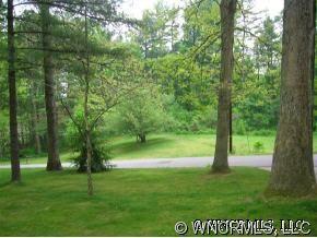0 Emory Road Asheville, NC 28806 - Photo 2 of 7 Gallery Image 2