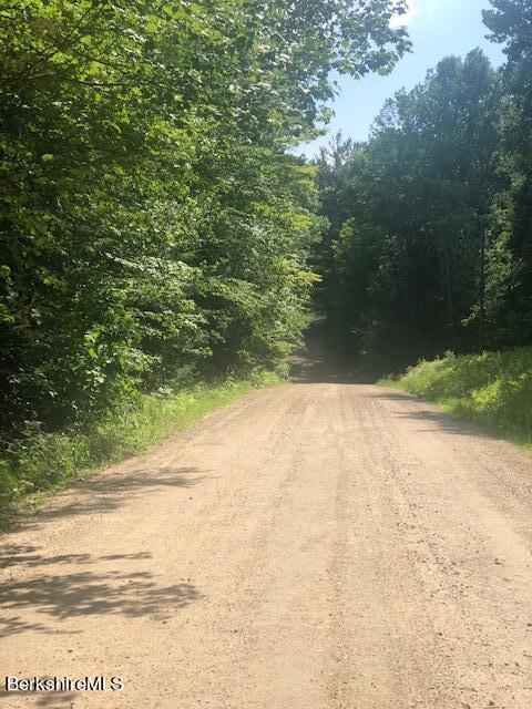 Schultz Road Becket, MA 01223 - Photo 2 of 2 a view of a yard
