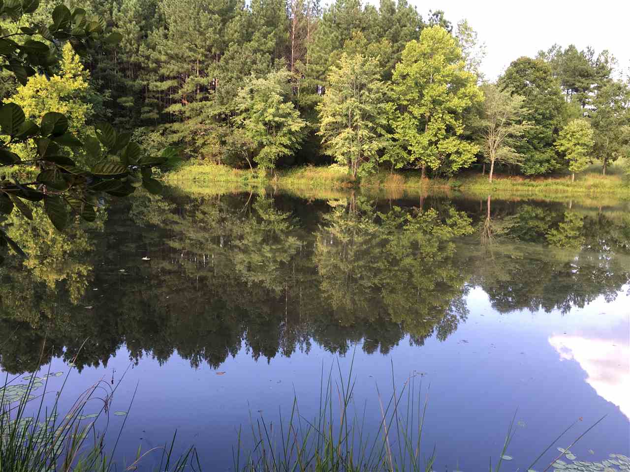 147 Sioux Road Gaffney, SC 29341 - Photo 1 of 17