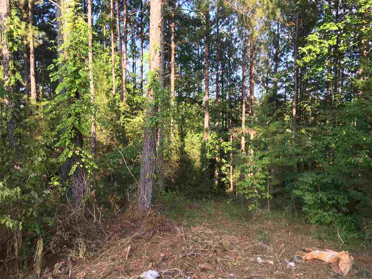 147 Sioux Road Gaffney, SC 29341 - Photo 11 of 17