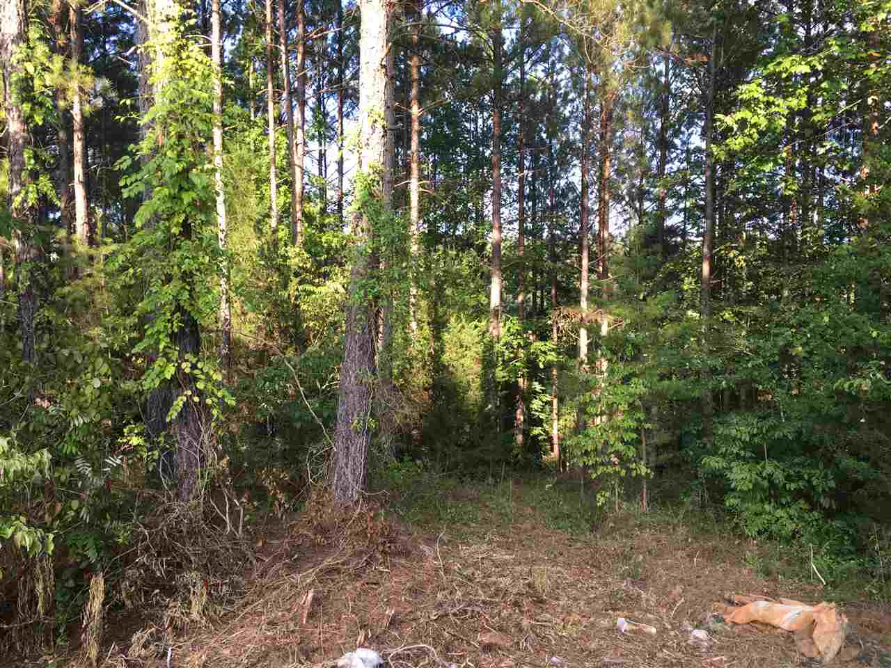147 Sioux Road Gaffney, SC 29341 - Photo 14 of 17