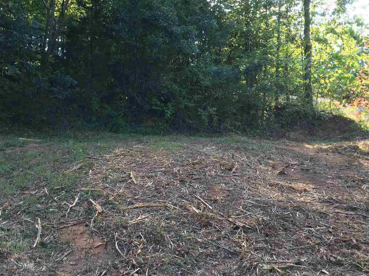 147 Sioux Road Gaffney, SC 29341 - Photo 5 of 17