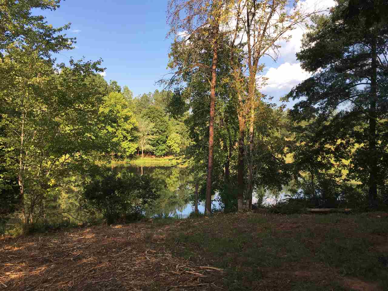 147 Sioux Road Gaffney, SC 29341 - Photo 6 of 17