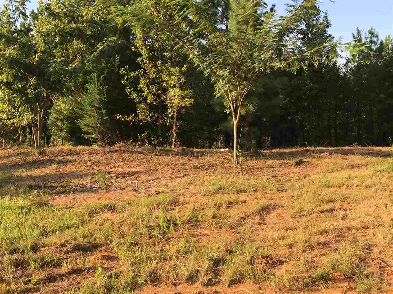 147 Sioux Road Gaffney, SC 29341 - Photo 9 of 17