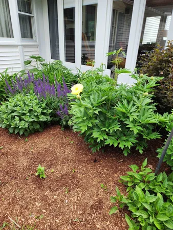 $776,000 | 8 Green Meadow Acres, Vergennes, VT 05491