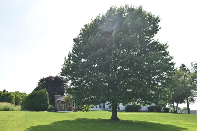 $785,000 | 8 Green Meadow Acres, Vergennes, VT 05491