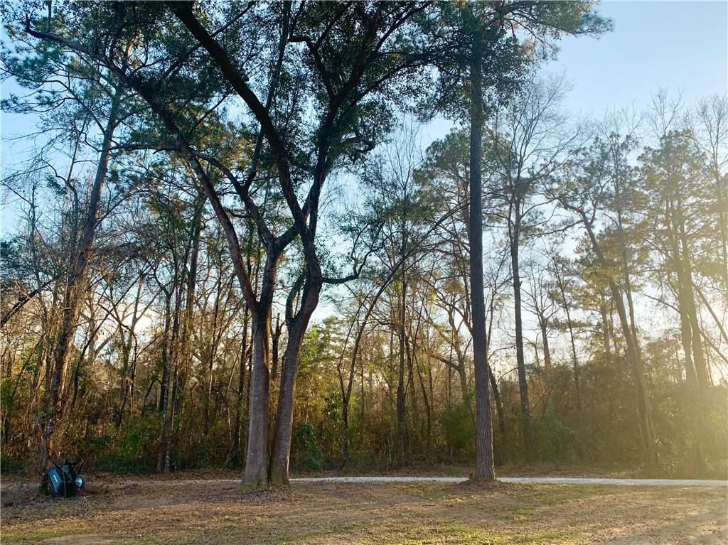 81076 Sticker Road Bush, LA 70431 - Photo 27 of 27 Gallery Image 27