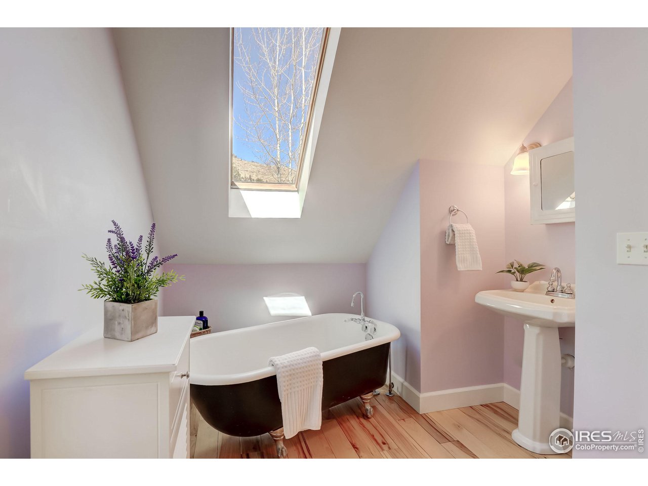 811 County Road 83 Boulder, CO 80302 - Photo 19 of 38 a living room with furniture and a potted plant