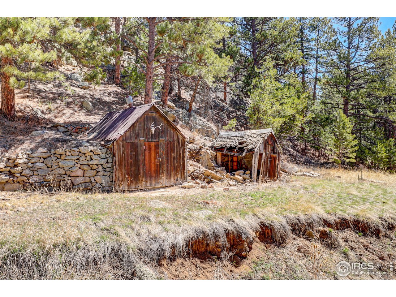 811 County Road 83 Boulder, CO 80302 - Photo 34 of 38 a view of a wooden house with a yard