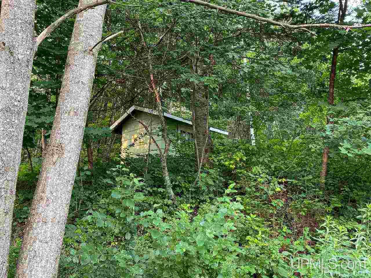 331 East County Road Negaunee, MI 49866 - Photo 14 of 48 Gallery Image 14