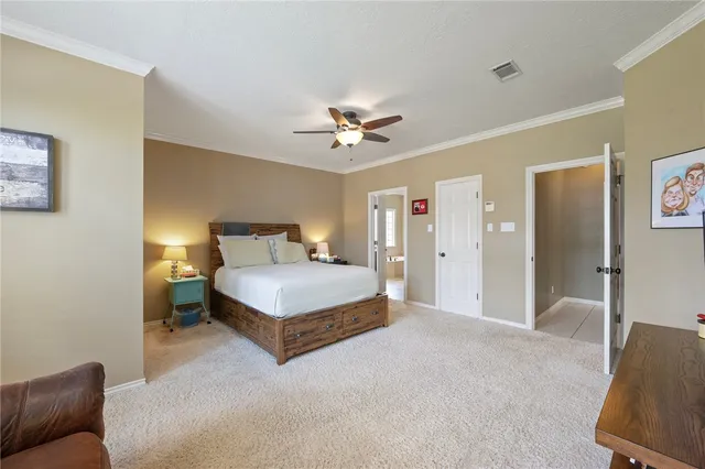 a spacious bedroom with a bed and a couch