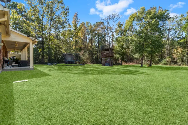a view of a park with large trees