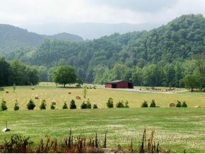 726 River Bend Road Bristol, TN 37620 - Photo 24 of 24 Photo 24