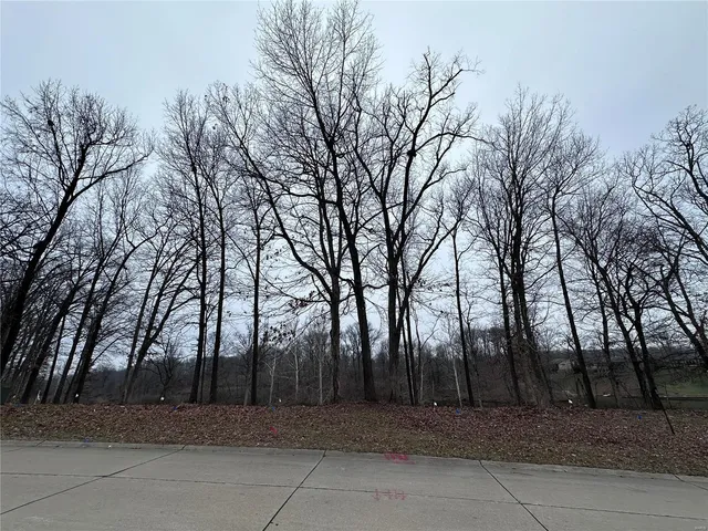 $99,000 | 50 Stonebridge Crossing Drive, Maryville, IL 62062