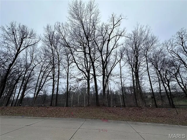 $99,000 | 50 Stonebridge Crossing Drive, Maryville, IL 62062