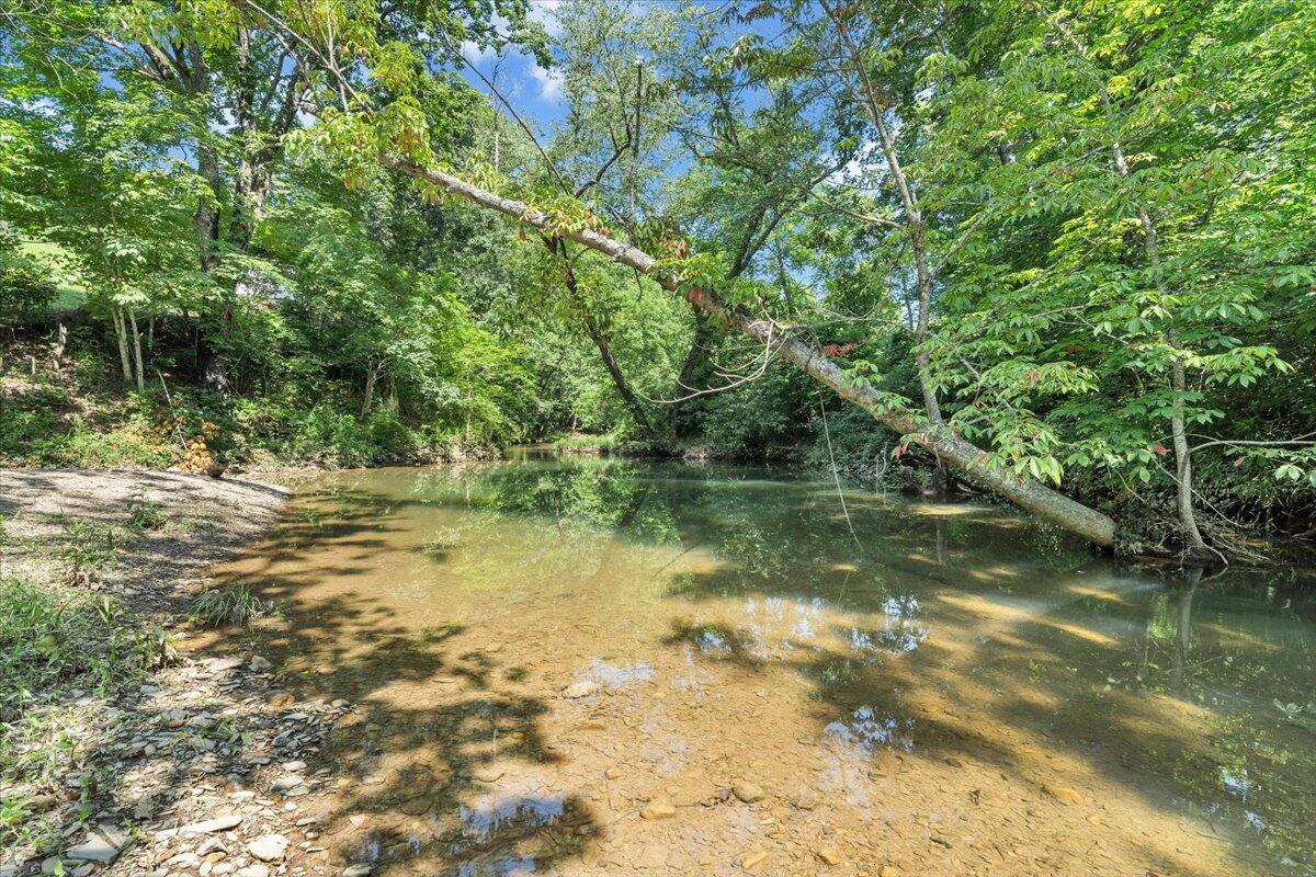 16118 Botetourt Road Eagle Rock, VA 24085 - Photo 37 of 50 38-MIB08852