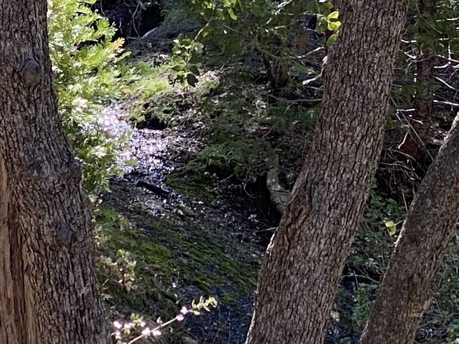 24670 Logan Creek Road Idyllwild, CA 92549 - Photo 34 of 50 Untitled
