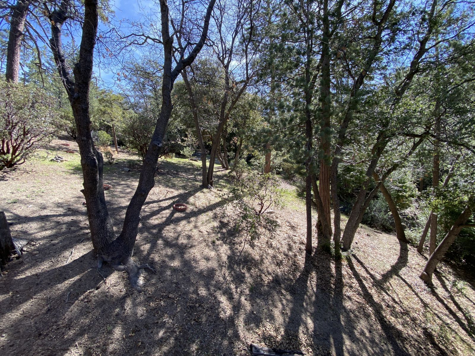 24670 Logan Creek Road Idyllwild, CA 92549 - Photo 35 of 50 Untitled