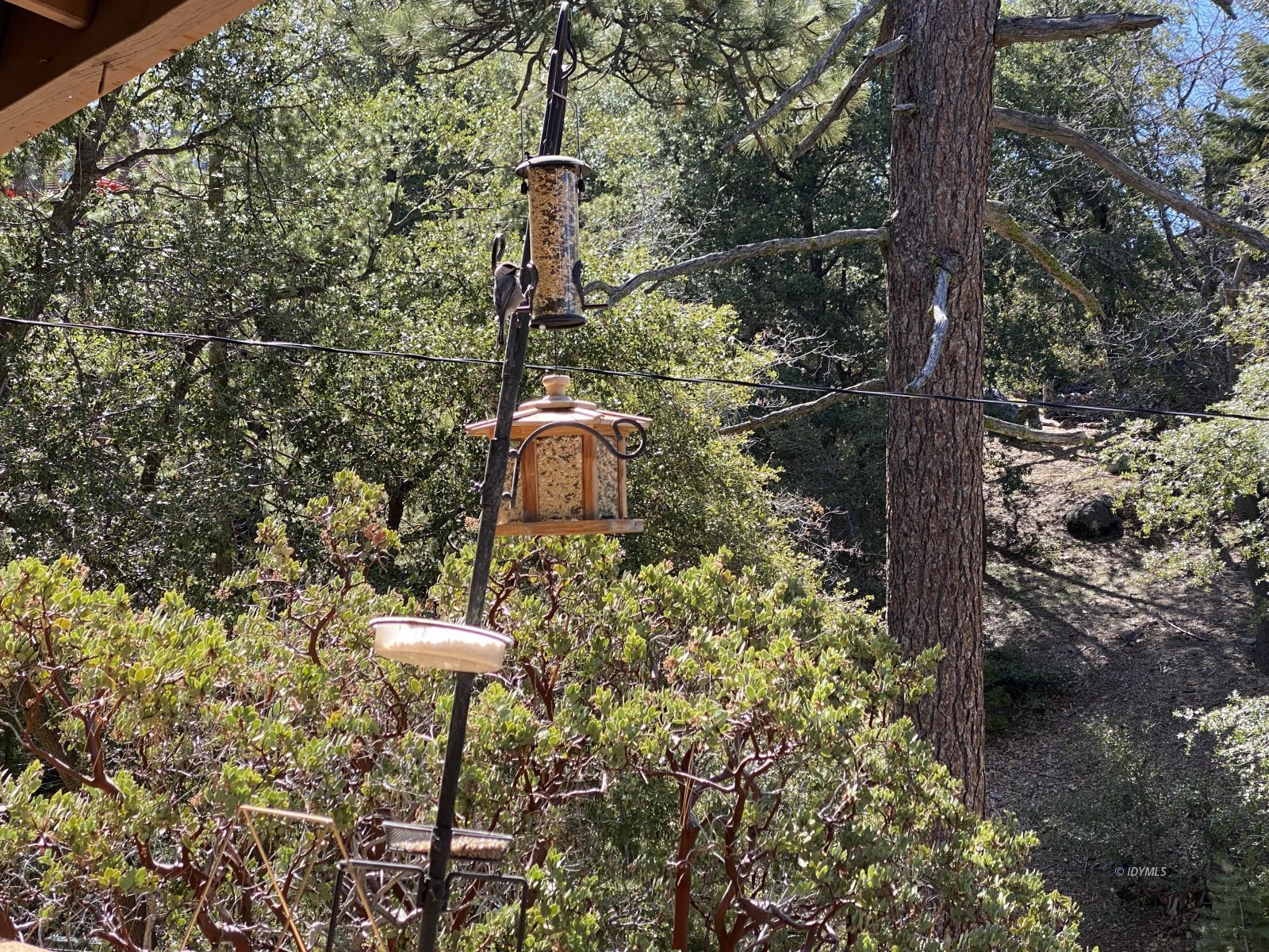 24670 Logan Creek Road Idyllwild, CA 92549 - Photo 36 of 50 Untitled