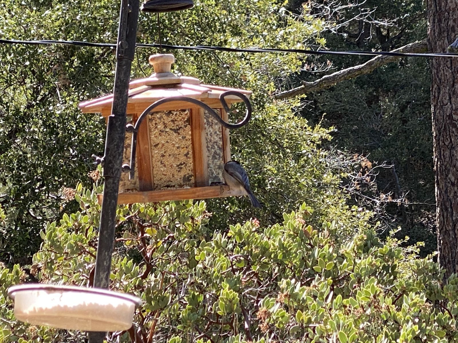 24670 Logan Creek Road Idyllwild, CA 92549 - Photo 37 of 50 Untitled