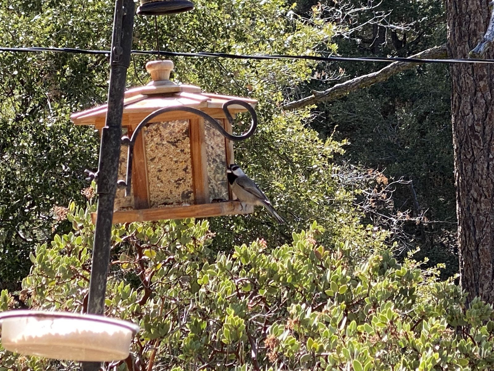 24670 Logan Creek Road Idyllwild, CA 92549 - Photo 38 of 50 Untitled