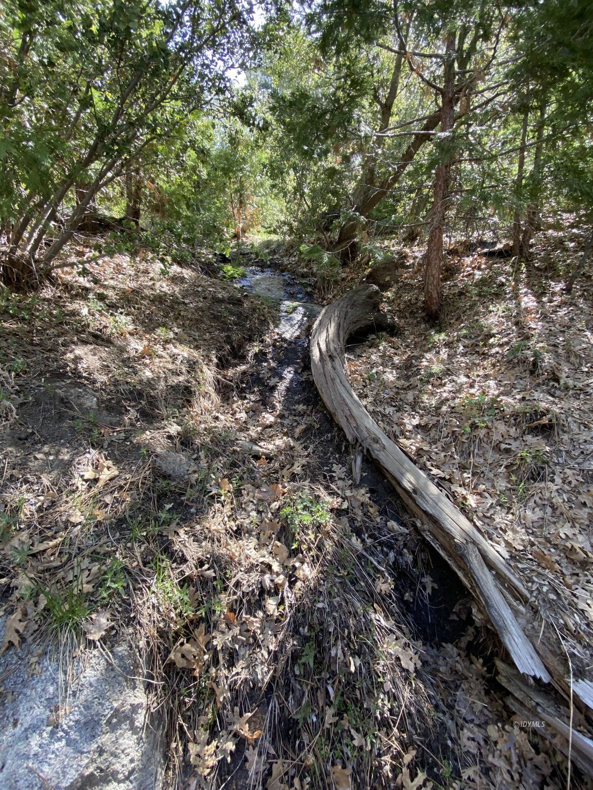 24670 Logan Creek Road Idyllwild, CA 92549 - Photo 42 of 50 Untitled