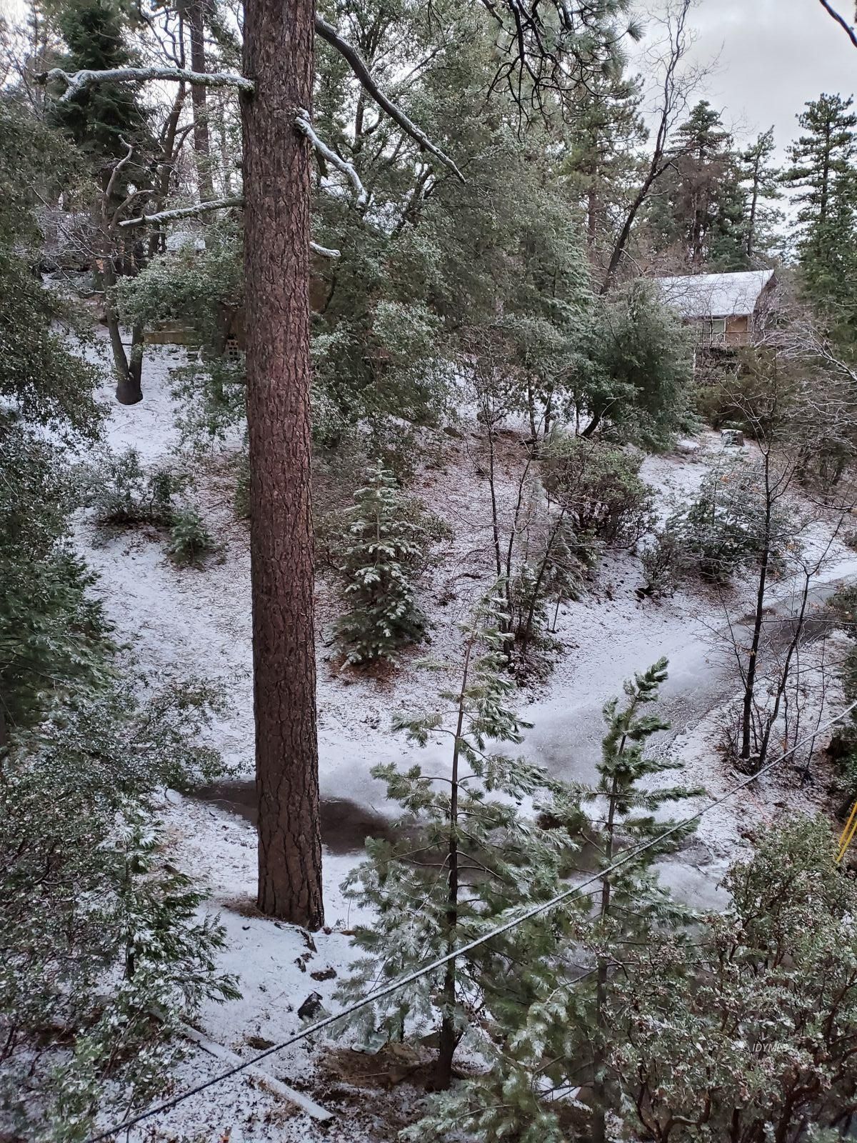 24670 Logan Creek Road Idyllwild, CA 92549 - Photo 47 of 50 Untitled