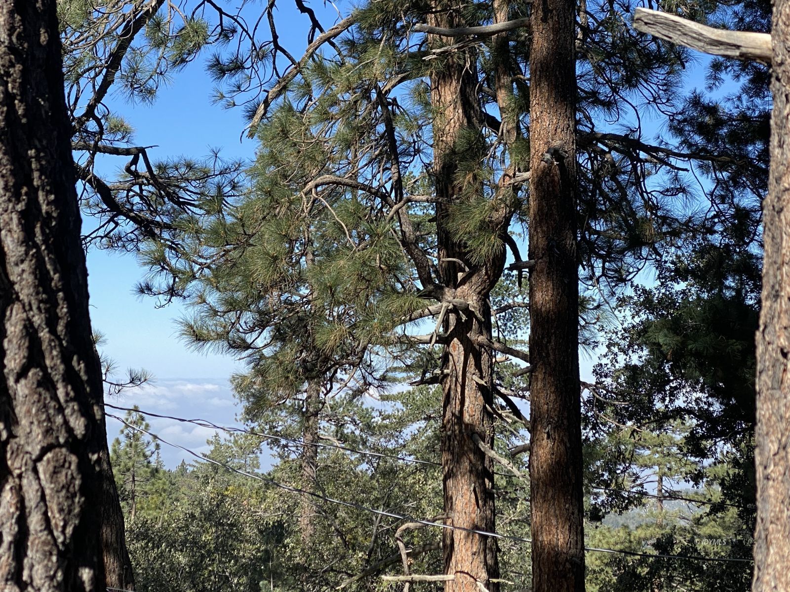24670 Logan Creek Road Idyllwild, CA 92549 - Photo 7 of 50 Untitled