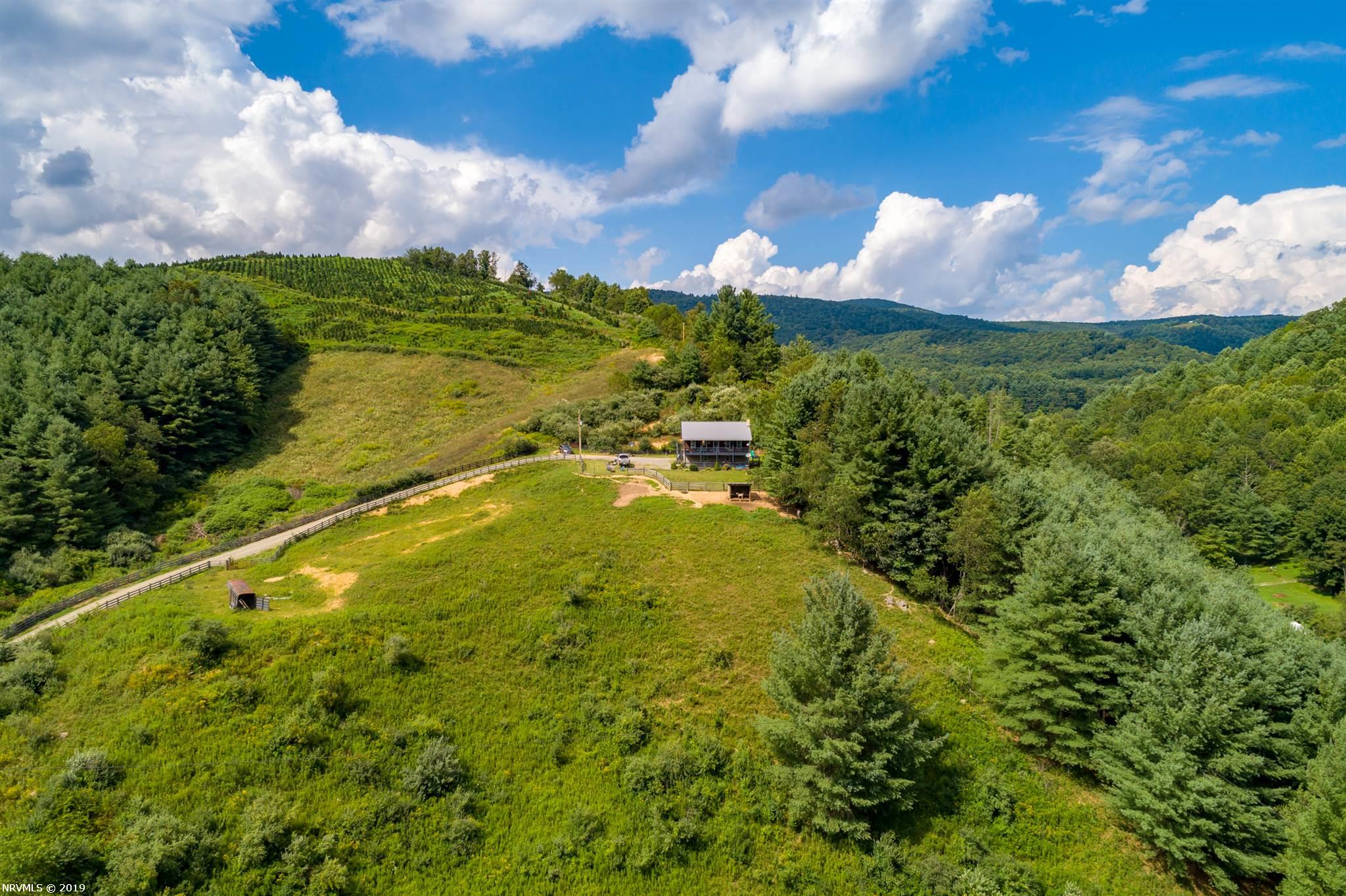 5305 Spring Valley Road, Unit 1 Elk Creek, VA 24326 - Photo 2 of 68 Gallery Image 2