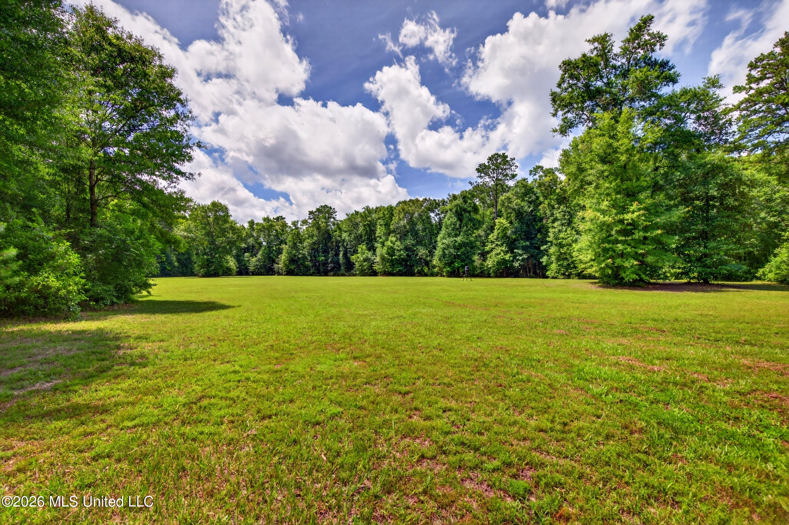 78 Game Reserve Road Columbia, MS 39429 - Photo 15 of 83 78GamerReserveRd.-48